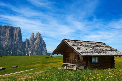 Alpine pasture on the Alpe di Siusi with Sciliar