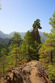Parque Nacional de la Caldera de Taburiente
