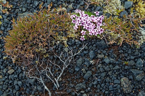 South Iceland