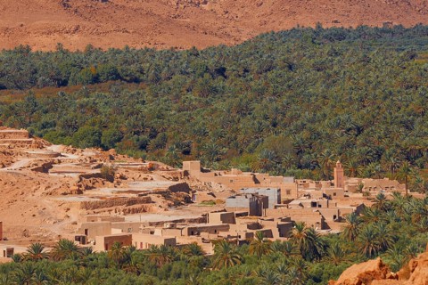 Tafilalet Oasis