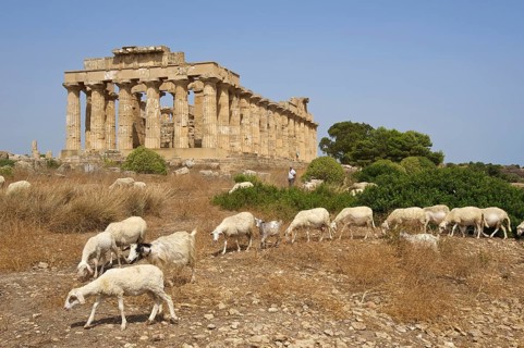 Temple E