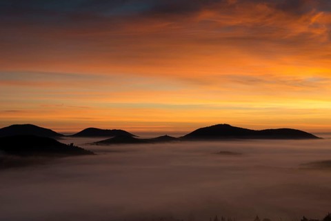 Palatinate Forest