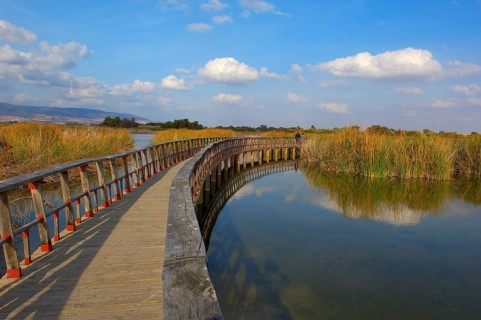 Daimiel