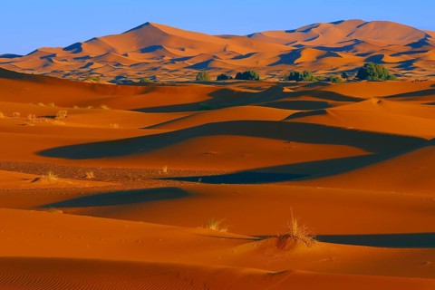 Merzouga