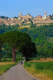 Assisi