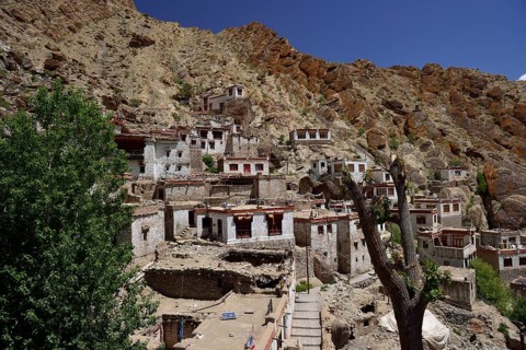 Hemis Festival