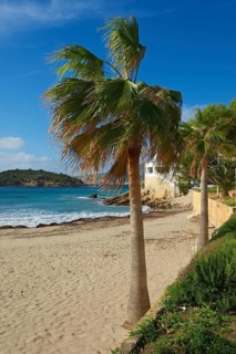 Sant Elm beach
