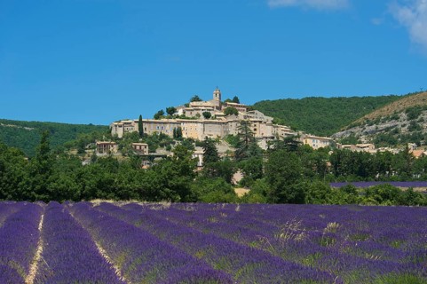 Lavender field near Banon