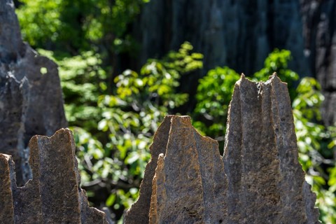 Rock spires of the karst landscape