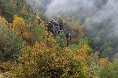 Pavilion view in the Bastei area