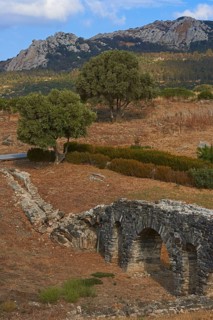 Bolonia