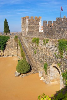 Beja