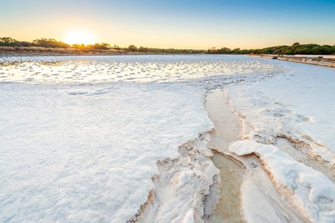 Salt production