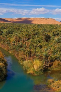 Tafilalet Oasis