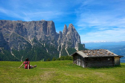 Alpine pasture on the Alpe di Siusi with Sciliar
