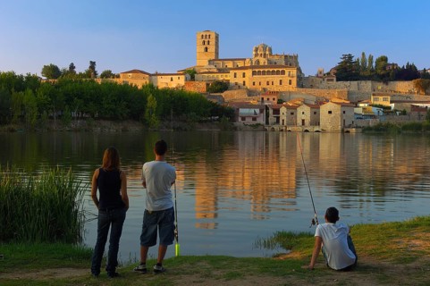 Zamora
