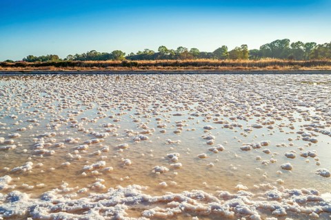 Salt production