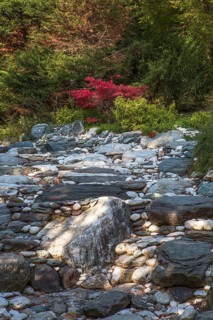Atatuerk Arboretum