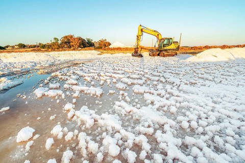 Excavator harvesting sea salt