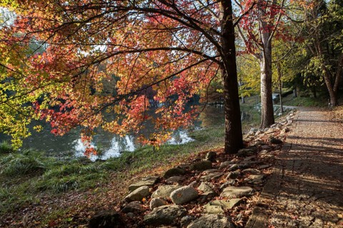Atatuerk Arboretum