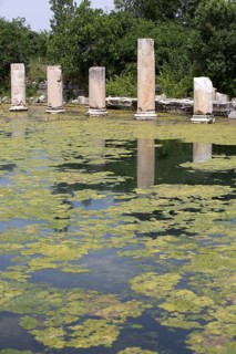 Ancient Pool and Agora