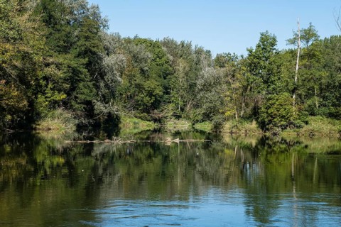 Alluvial landscape