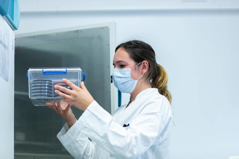 Young laboratory assistant with sample and laboratory glasses working in a laboratory with laboratory equipment