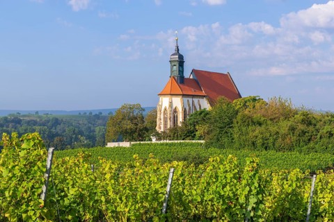 Pilgrimage church Maria im Weingarten