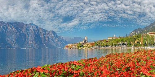 Tulips on the shore of Lake Garda with a view of the Castello Scaligero of the historic coastal town of Malcesine