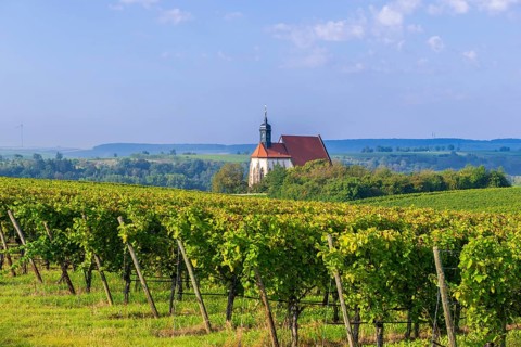 Pilgrimage church Maria im Weingarten
