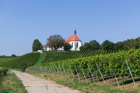 Vineyard with Vogelsburg with church Mariae Schutz