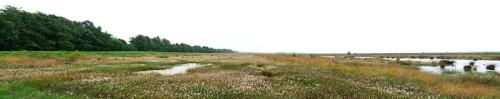 Panorama Esterweger Dose