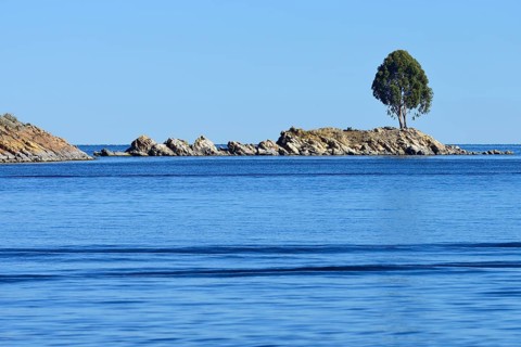 Lone tree on a rocky island