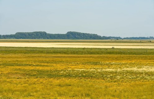 Hut pastures in the conservation zone of the Lange Lacke