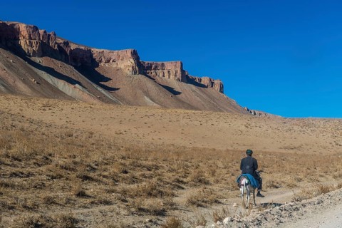 Lonesome horseride in the Unesco National Park