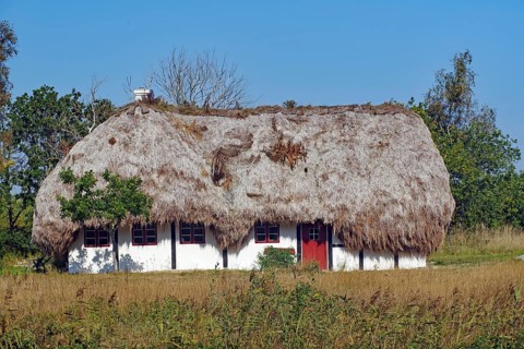 Houses with roofs made of seaweed