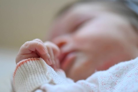 Infant