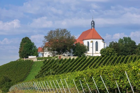 Vineyard with Vogelsburg with church Mariae Schutz
