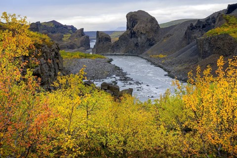 Colourful autumn colours at the basalt formations of Hlooaklettar