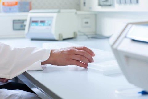 Multiple samples in the hand of a laboratory technician on the laboratory table in the Freiburg laboratory