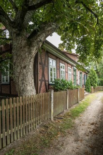 Koesterschule