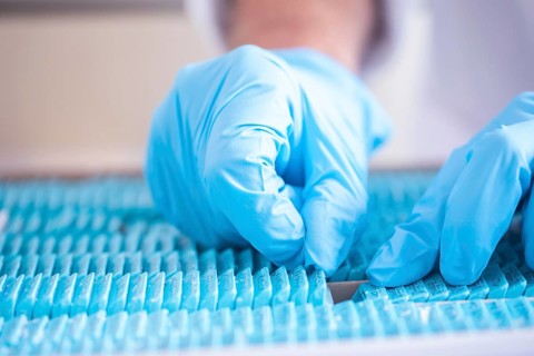 Histological preparation for cutting the sample in the laboratory
