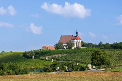 Pilgrimage church Maria im Weingarten