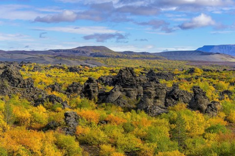 Lava field Dimmuborgir with autumn coloured birch vegetation