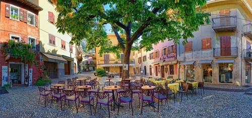 Lovely town square with tree
