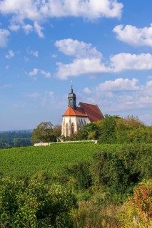 Pilgrimage church Maria im Weingarten