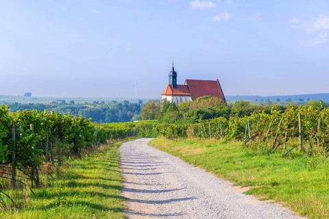 Pilgrimage church Maria im Weingarten