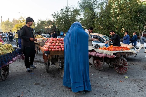 Local shop vendors