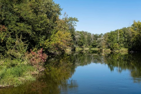 Alluvial landscape
