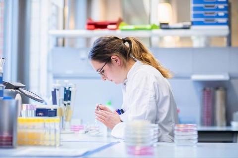 Lab technician with sample in petri dish working in a lab with lab equipment